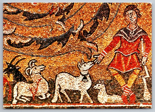 Cartolina pastore gregge - cartolina,